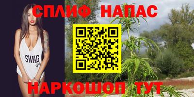 эйфоретик Донской