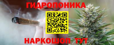 эйфоретик Донской