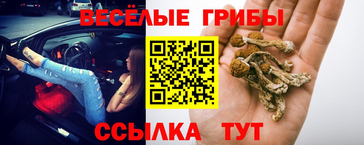 Малгобек  Псилоцибиновые грибы Psilocybine cubensis  Вход с VPN 